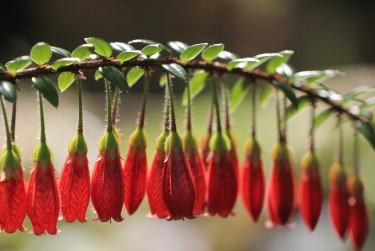 肇庆广宁8私人快速借钱网，轻松解决资金难题